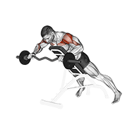 EZ Barbell Anti Gravity Press exercise animation