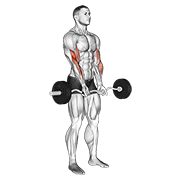 EZ Barbell Close-Grip Curl exercise animation