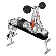 EZ Barbell Decline Close Grip Face Press form demonstration - targeted for Triceps Upper Arms workouts