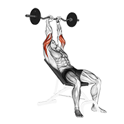EZ Barbell Incline Triceps Extension exercise animation