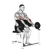 EZ Barbell Reverse Grip Preacher Curl exercise animation