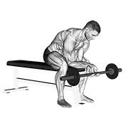 Finger Curls form demonstration - targeted for Forearms Lower Arms workouts
