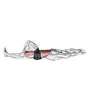 Flexion Leg Sit Up (bent Knee) form demonstration - targeted for Abs Waist workouts