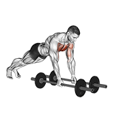 Floor Fly (with Barbell) exercise animation