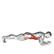 Front Plank With Twist exercise animation