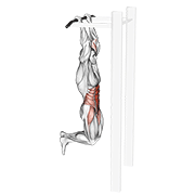 Gorilla Chin form demonstration - targeted for Abs Waist workouts