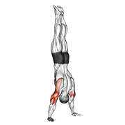Handstand Push-Up exercise animation