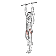 Hanging Leg Raise form demonstration - targeted for Abs Waist workouts