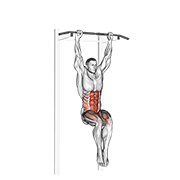 Hanging Pike form demonstration - targeted for Abs Waist workouts
