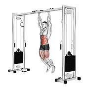 Hanging Straight Leg Hip Raise exercise animation