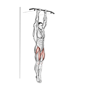 Hanging Straight Leg Raise exercise animation