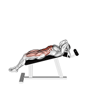 Incline Leg Hip Raise (leg Straight) form demonstration - targeted for Abs Waist workouts