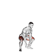 Jump Squat V. 2 exercise animation