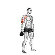 Kettlebell Bottoms Up Clean From The Hang Position form demonstration - targeted for Biceps Upper Arms workouts