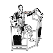 Lever Bicep Curl exercise animation