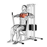 Lever Chest Press form demonstration - targeted for Pectorals Chest workouts