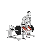 Lever Deadlift exercise animation