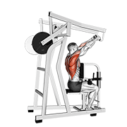 Lever High Row exercise animation