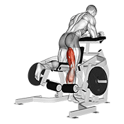 Lever Kneeling Leg Curl exercise animation