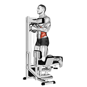 Lever Kneeling Twist exercise animation