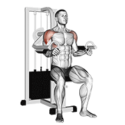 Lever Lateral Raise form demonstration - targeted for Delts Shoulders workouts