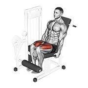 Lever Leg Extension exercise animation