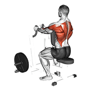 Lever Narrow Grip Seated Row exercise animation