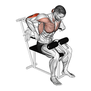 Lever Overhand Triceps Dip exercise animation