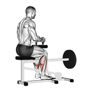 Lever Seated Calf Raise exercise animation