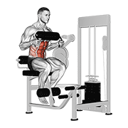 Lever Seated Crunch (chest Pad) form demonstration - targeted for Abs Waist workouts