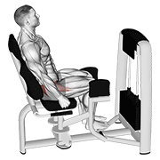 Lever Seated Hip Abduction exercise animation