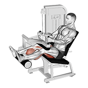 Lever Seated Leg Curl exercise animation