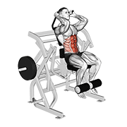 Lever Seated Leg Raise Crunch form demonstration - targeted for Abs Waist workouts