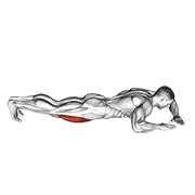 Lying (side) Quads Stretch exercise animation