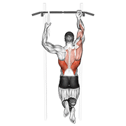 One Arm Chin-Up exercise animation