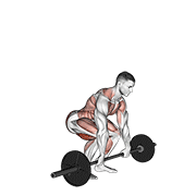Power Clean exercise animation