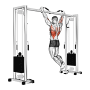 Pull Up (neutral Grip) exercise animation