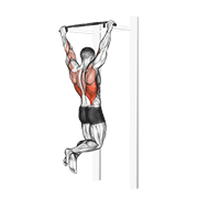 Pull-Up exercise animation