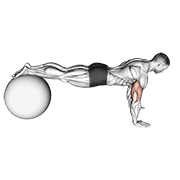 Push-Up (on Stability Ball) exercise animation