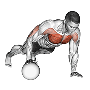 Push-Up Medicine Ball exercise animation