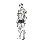 Rear Deltoid Stretch exercise animation