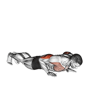Reverse Dip form demonstration - targeted for Triceps Upper Arms workouts