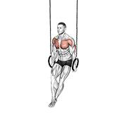 Ring Dips exercise animation