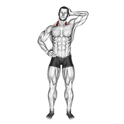 Side Push Neck Stretch exercise animation