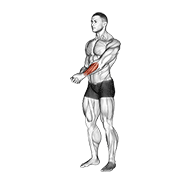 Side Wrist Pull Stretch form demonstration - targeted for Forearms Lower Arms workouts