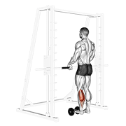 Single Leg Calf Raise (on A Dumbbell) form demonstration - targeted for Calves Lower Legs workouts