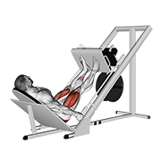 Sled 45в° Leg Press exercise animation
