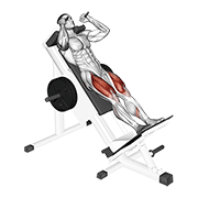 Sled Hack Squat form demonstration - targeted for Glutes Upper Legs workouts