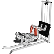 Sled Lying Squat form demonstration - targeted for Glutes Upper Legs workouts