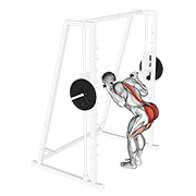 Smith Bent Knee Good Morning form demonstration - targeted for Glutes Upper Legs workouts